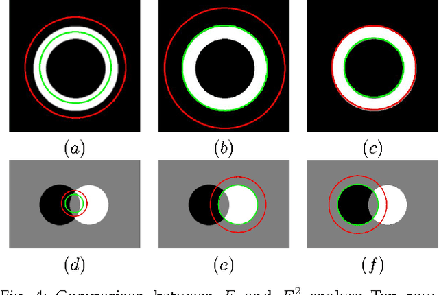 Figure 4 for Template-Based Active Contours