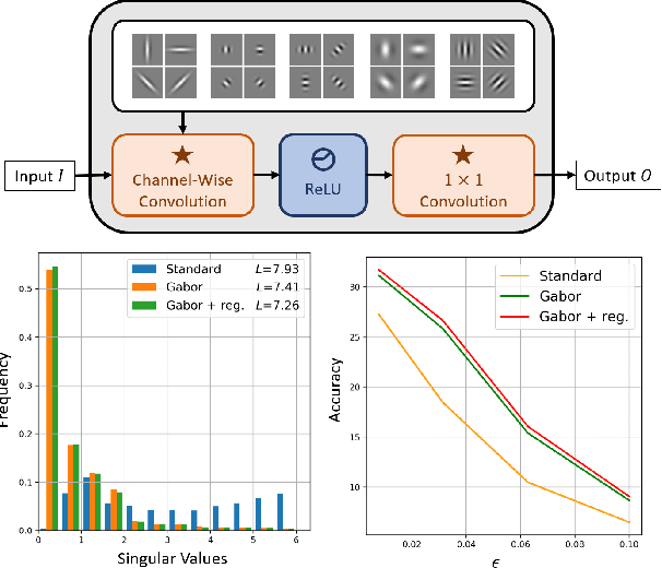 Figure 1 for Robust Gabor Networks