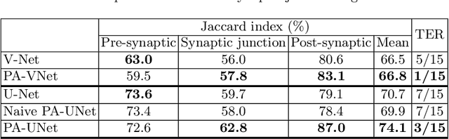 Figure 2 for Probabilistic Atlases to Enforce Topological Constraints