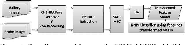 Figure 1 for Domain Adaptation with Soft-margin multiple feature-kernel learning beats Deep Learning for surveillance face recognition