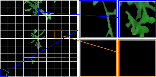 Figure 2 for Weed Density and Distribution Estimation for Precision Agriculture using Semi-Supervised Learning