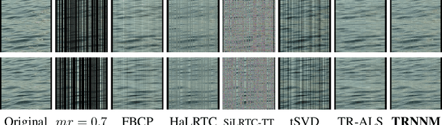 Figure 4 for Tensor-Ring Nuclear Norm Minimization and Application for Visual Data Completion