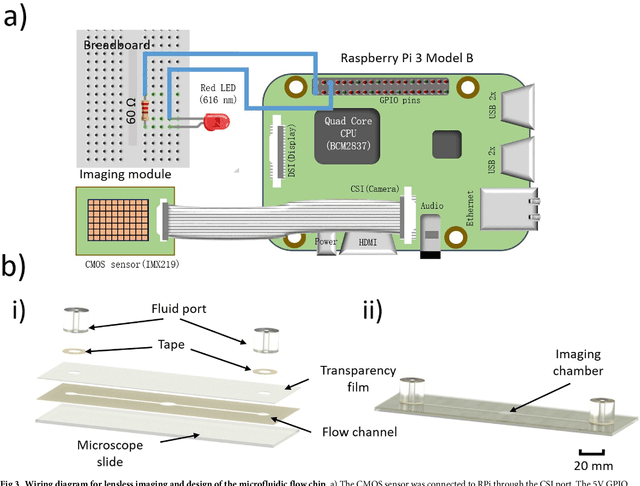 Figure 3 for New methods of removing debris and high-throughput counting of cyst nematode eggs extracted from field soil