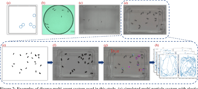 Figure 2 for Dominant motion identification of multi-particle system using deep learning from video