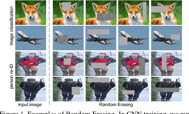 Figure 1 for Random Erasing Data Augmentation