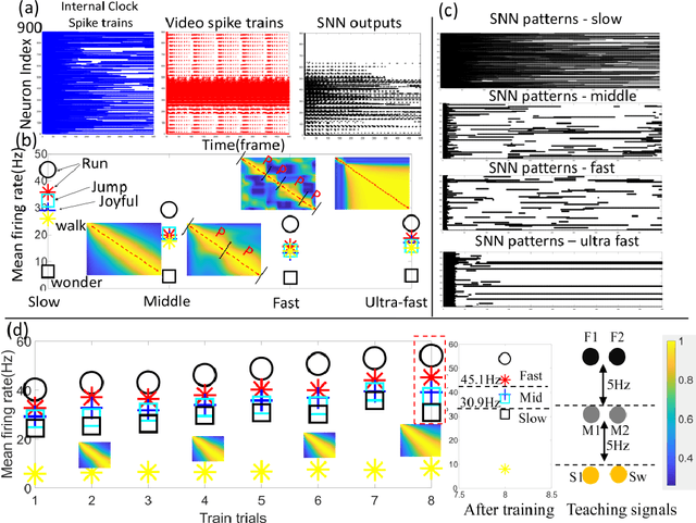 Figure 3 for An Internal Clock Based Space-time Neural Network for Motion Speed Recognition