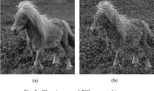 Figure 2 for A Two-stage Method for Non-extreme Value Salt-and-Pepper Noise Removal
