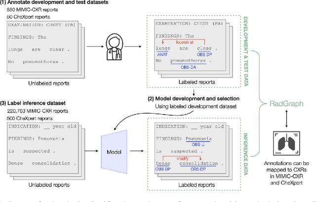 Figure 1 for RadGraph: Extracting Clinical Entities and Relations from Radiology Reports
