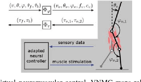 Figure 4 for Bayesian Optimization Using Domain Knowledge on the ATRIAS Biped
