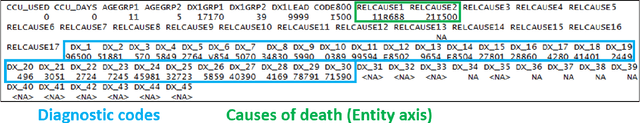 Figure 3 for Public Health Informatics: Proposing Causal Sequence of Death Using Neural Machine Translation