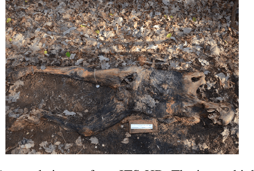 Figure 1 for Machine-assisted annotation of forensic imagery