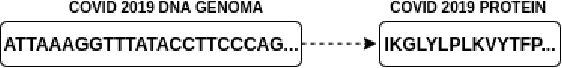 Figure 1 for One-shot screening of potential peptide ligands on HR1 domain in COVID-19 glycosylated spike (S) protein with deep siamese network