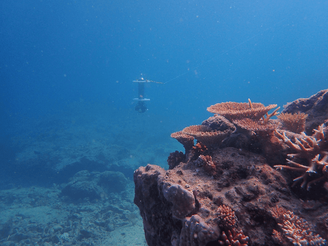 Figure 1 for Field trial on Ocean Estimation for Multi-Vessel Multi-Float-based Active perception