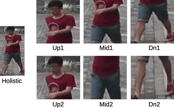 Figure 1 for Factorized Distillation: Training Holistic Person Re-identification Model by Distilling an Ensemble of Partial ReID Models