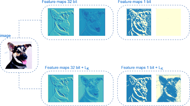 Figure 1 for Bimodal Distributed Binarized Neural Networks