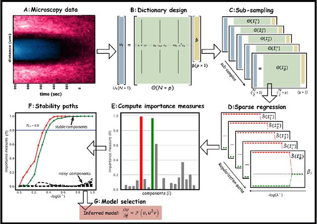 Figure 1 for Stability selection enables robust learning of partial differential equations from limited noisy data