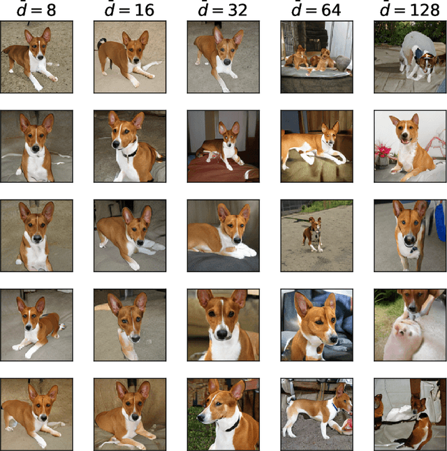 Figure 3 for The Intrinsic Dimension of Images and Its Impact on Learning