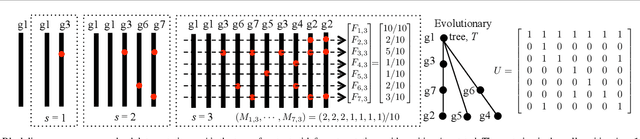 Figure 1 for Exact inference under the perfect phylogeny model