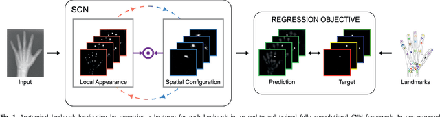 Figure 1 for Integrating Spatial Configuration into Heatmap Regression Based CNNs for Landmark Localization