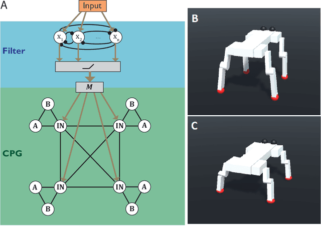 Figure 1 for Central pattern generators evolved for real-time adaptation