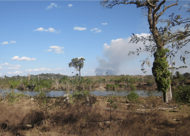 Figure 3 for Tropical Land Use Land Cover Mapping in Pará  using Discriminative Markov Random Fields and Multi-temporal TerraSAR-X Data