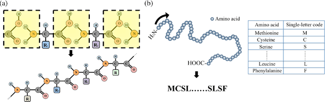 Figure 3 for Leveraging Sequence Embedding and Convolutional Neural Network for Protein Function Prediction