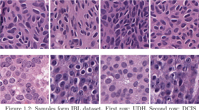 Figure 2 for Signal Classification under structure sparsity constraints