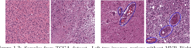 Figure 3 for Signal Classification under structure sparsity constraints