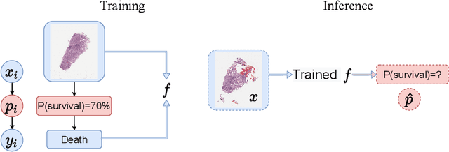 Figure 1 for Deep Probability Estimation