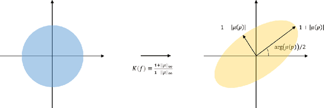 Figure 1 for A Learning Framework for Diffeomorphic Image Registration based on Quasi-conformal Geometry