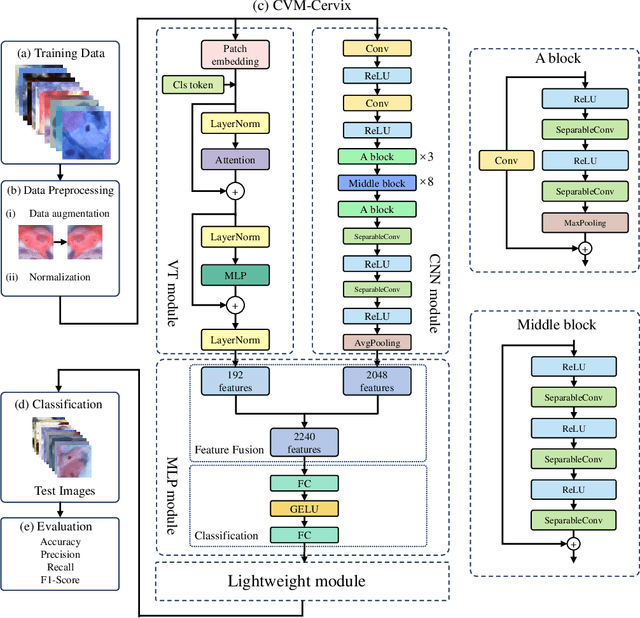 Figure 3 for CVM-Cervix: A Hybrid Cervical Pap-Smear Image Classification Framework Using CNN, Visual Transformer and Multilayer Perceptron