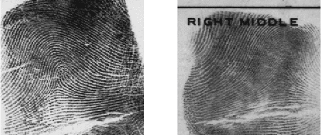 Figure 4 for Fingerprint Classification Based on Depth Neural Network