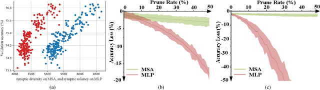 Figure 3 for Training-free Transformer Architecture Search