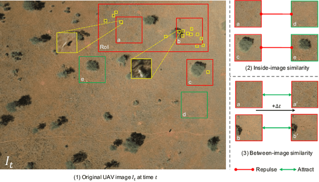 Figure 1 for Self-Supervised Pretraining and Controlled Augmentation Improve Rare Wildlife Recognition in UAV Images