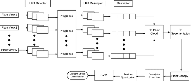 Figure 1 for Drought Stress Classification using 3D Plant Models