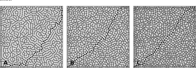 Figure 3 for Randomized Self Organizing Map