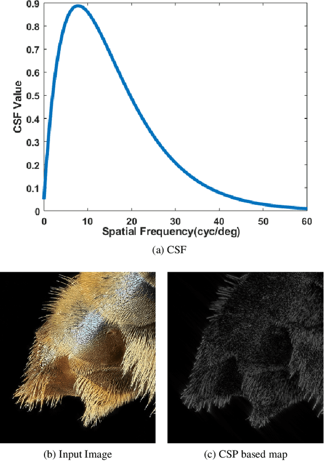 Figure 3 for A HVS-inspired Attention Map to Improve CNN-based Perceptual Losses for Image Restoration