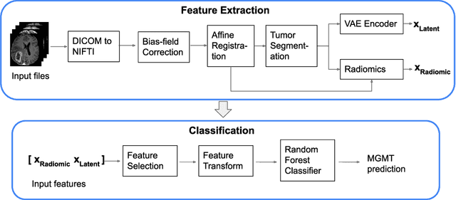 Figure 1 for Prediction of MGMT Methylation Status of Glioblastoma using Radiomics and Latent Space Shape Features