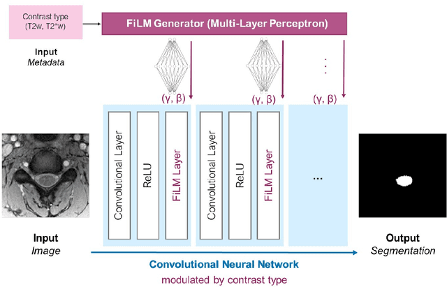Figure 1 for Automatic segmentation of spinal multiple sclerosis lesions: How to generalize across MRI contrasts?
