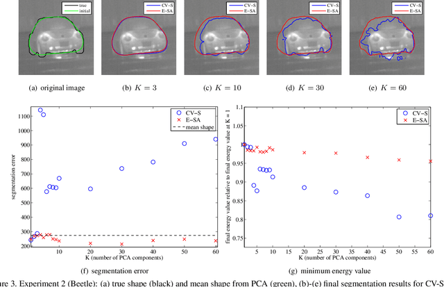 Figure 3 for An Efficiently Coupled Shape and Appearance Prior for Active Contour Segmentation