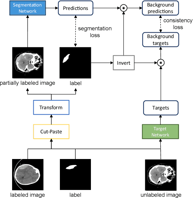 Figure 1 for Cut-Paste Consistency Learning for Semi-Supervised Lesion Segmentation
