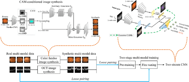 Figure 2 for Learning Two-Stream CNN for Multi-Modal Age-related Macular Degeneration Categorization