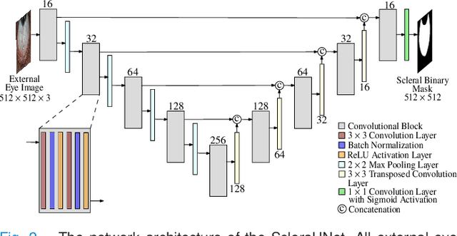 Figure 2 for A Thickness Sensitive Vessel Extraction Framework for Retinal and Conjunctival Vascular Tortuosity Analysis