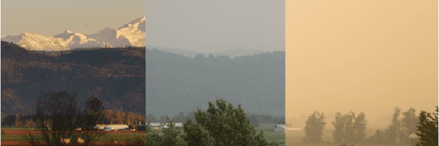 Figure 3 for Semantic Single-Image Dehazing