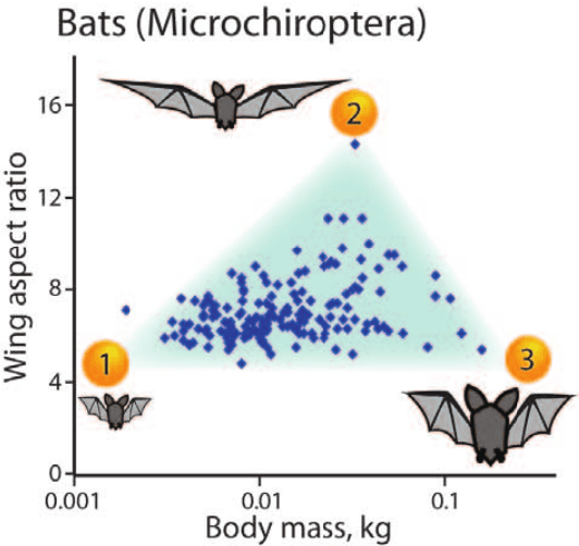 Figure 3 for Learning Extremal Representations with Deep Archetypal Analysis