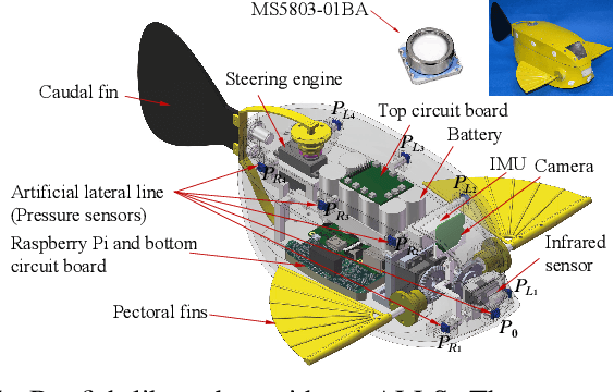Figure 1 for Artificial Lateral Line Based Relative State Estimation for Two Adjacent Robotic Fish