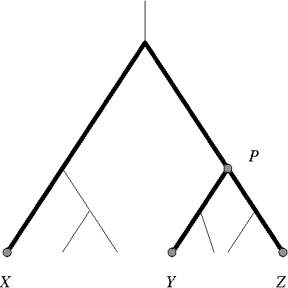 Figure 1 for Provably Fast and Accurate Recovery of Evolutionary Trees through Harmonic Greedy Triplets