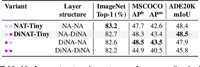Figure 2 for Dilated Neighborhood Attention Transformer