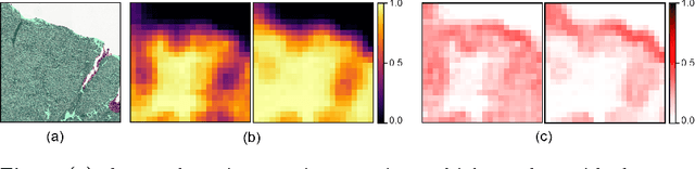 Figure 4 for Rotation Equivariant CNNs for Digital Pathology
