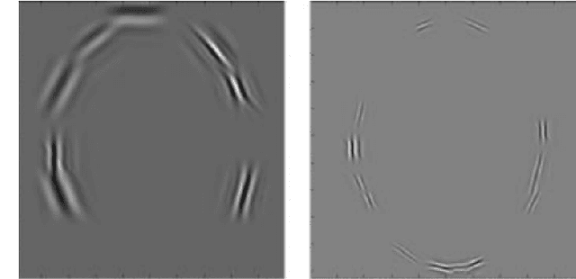Figure 4 for Face Recognition using Curvelet Transform